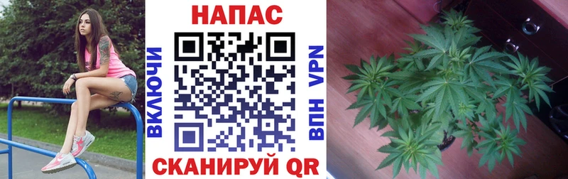 Все наркотики Лахденпохья Альфа ПВП  МЕФ  Гашиш  Канабис 