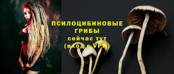 spice Алзамай