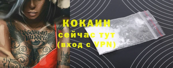 spice Алзамай