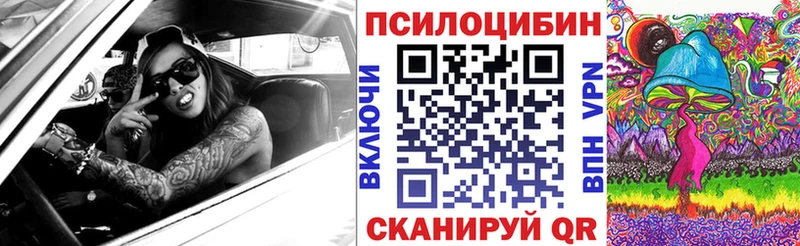 Псилоцибиновые грибы Psilocybe  как найти закладки  Лахденпохья 